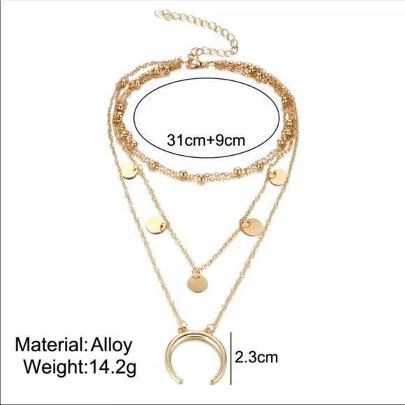 • Daphne • Layered Coin + Moon Necklace - Picture 3 of 4